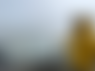 Wondering Where the Fish Have Gone