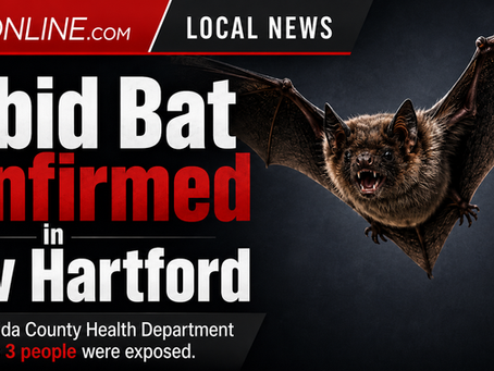 Rabid Bat Confirmed in New Hartford