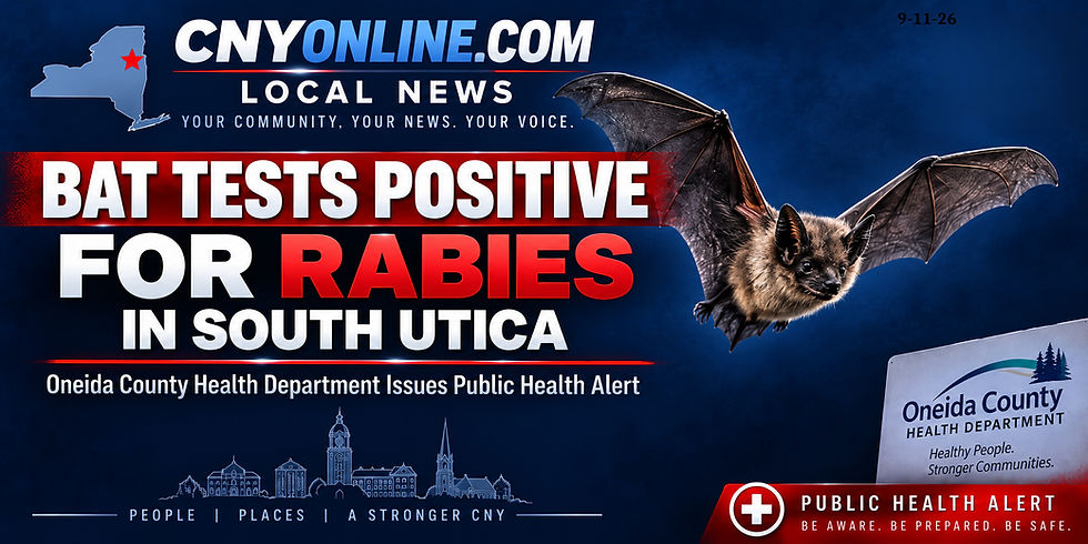 Bat Tests Positive for Rabies in South Utica