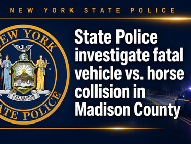 State Police investigate fatal vehicle vs. horse collision in Madison County