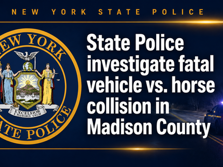 State Police investigate fatal vehicle vs. horse collision in Madison County