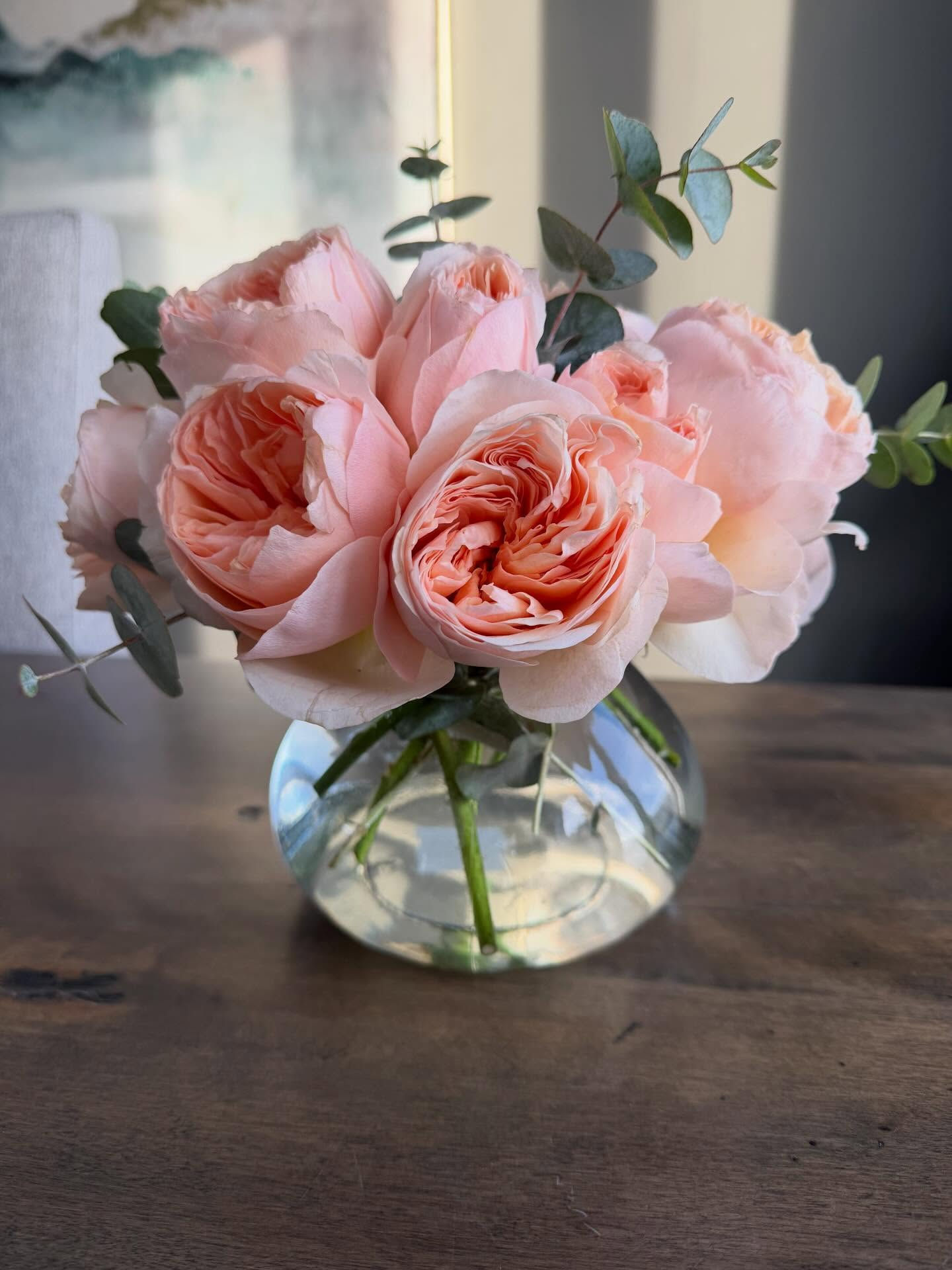 Garden Roses