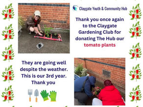 YOU SAY TOMATO, I SAY TOMATO...