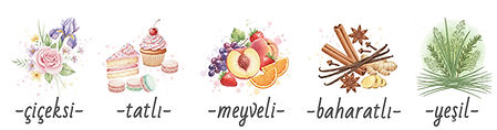 Maison Crivelli Hibiscus Mahajad
notaları