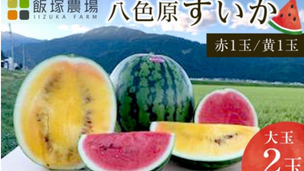 夏季限定!飯塚農場の八色原すいかがふるさと納税に