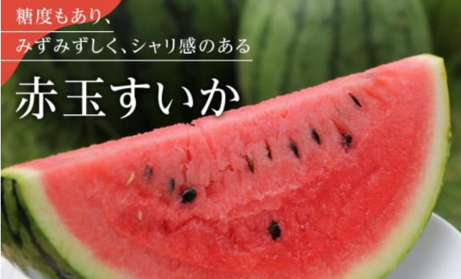 飯塚農場「八色原すいか」定番の人気商品！赤玉すいか