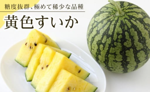 飯塚農場「八色原すいか」知る人ぞ知る黄色すいか