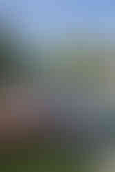 Clear waters. of Culion with the landmark in the background