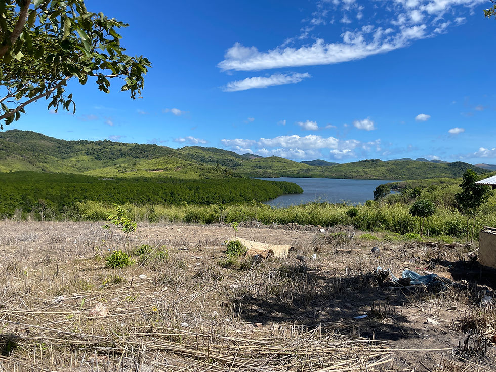 View of the water from the farm