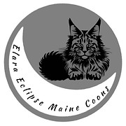 Elara Eclipse Maine Coons logo