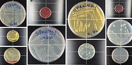 WhatsApp Image 2026-01-27 at 13.28.05.jpeg