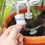 Miniature : Perfusion H2O pour plantes
