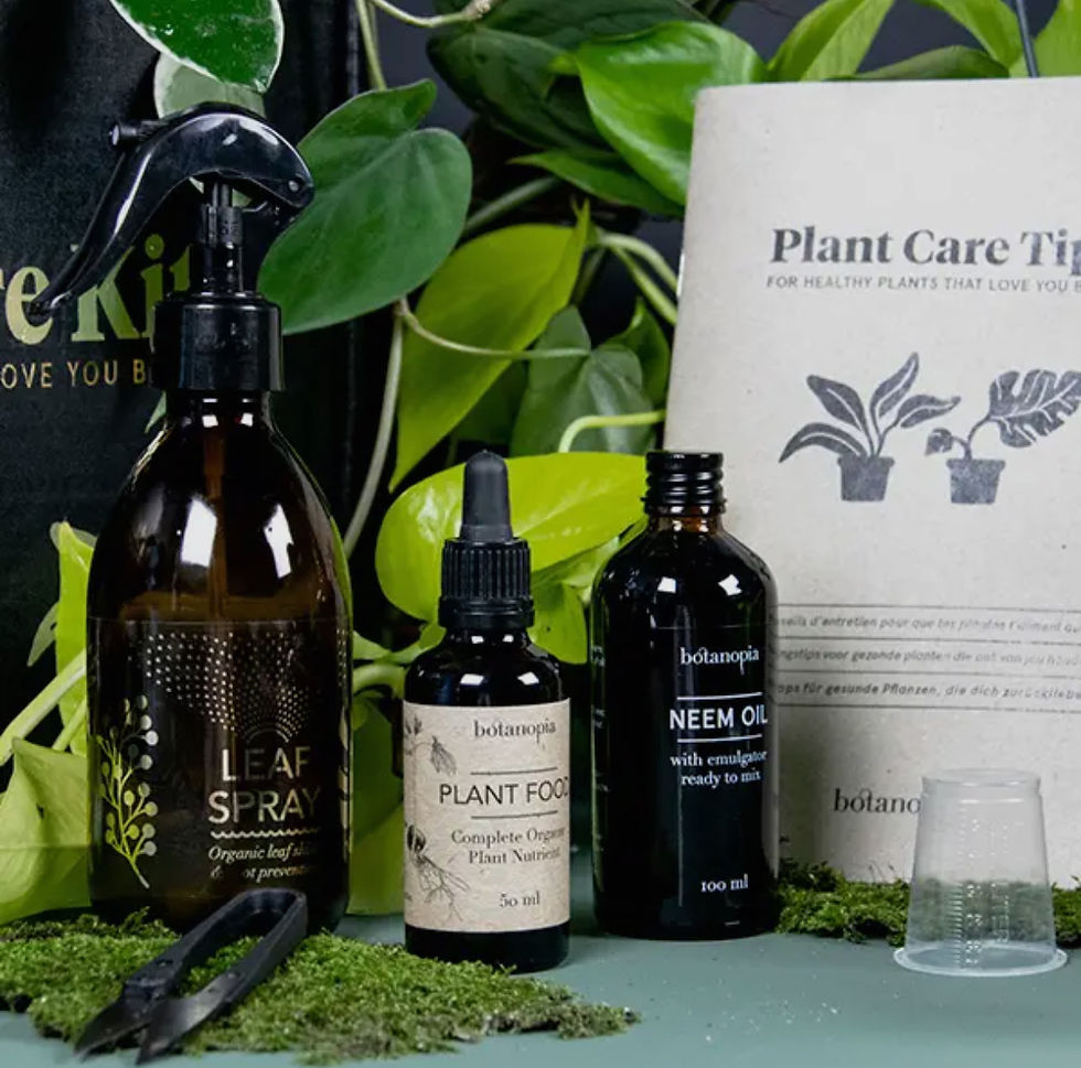 Miniature : Le coffret entretien pour que tes plantes t'aiment aussi