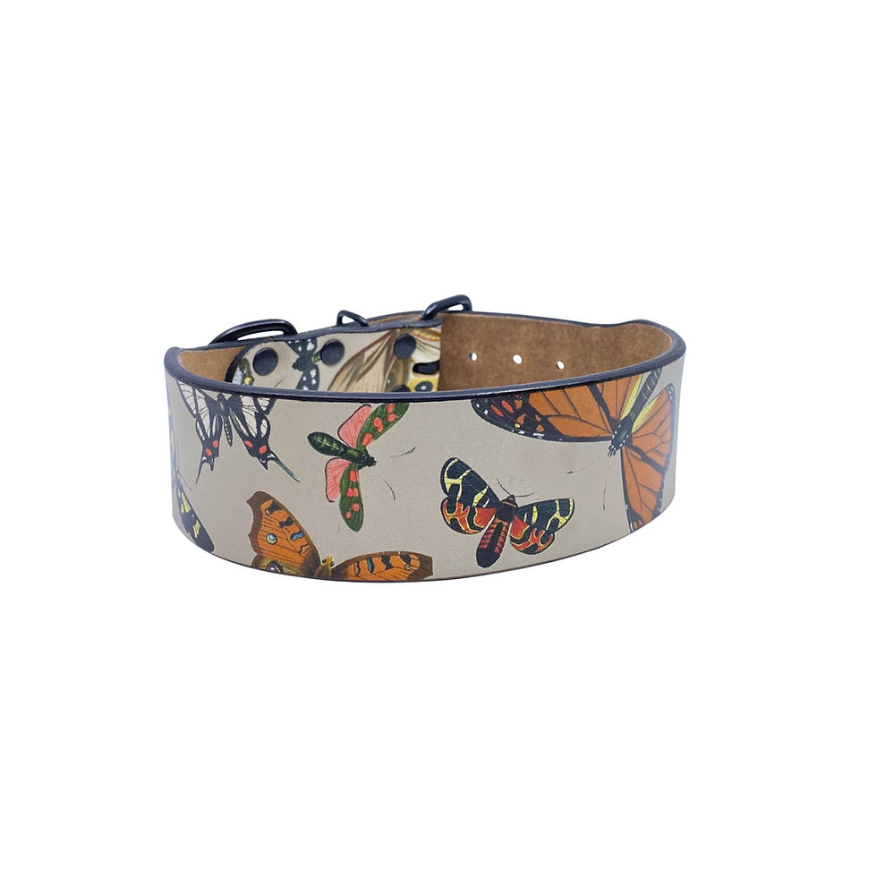 Thumbnail: Vintage Butterflies