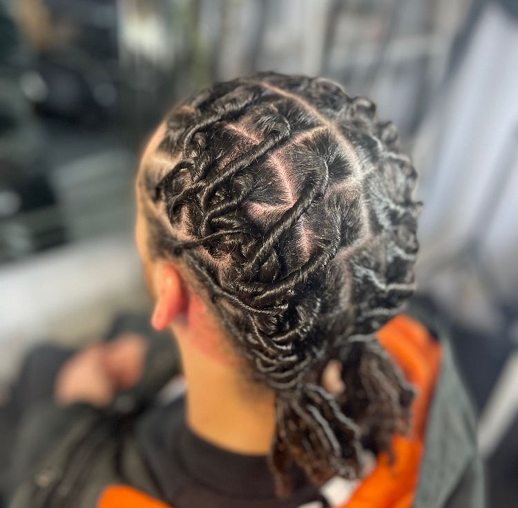 Understanding the Stages of Loc Maturation