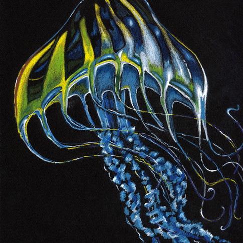 Jelly 9 x 12.jpg