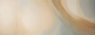 Untitled design (9)_edited.jpg