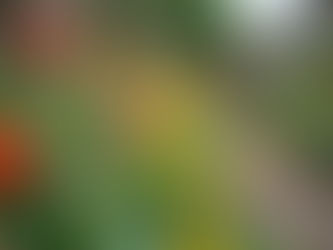 Empowering Communities for Sustainable Growth