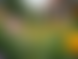 Empowering Communities: Strategies That Work