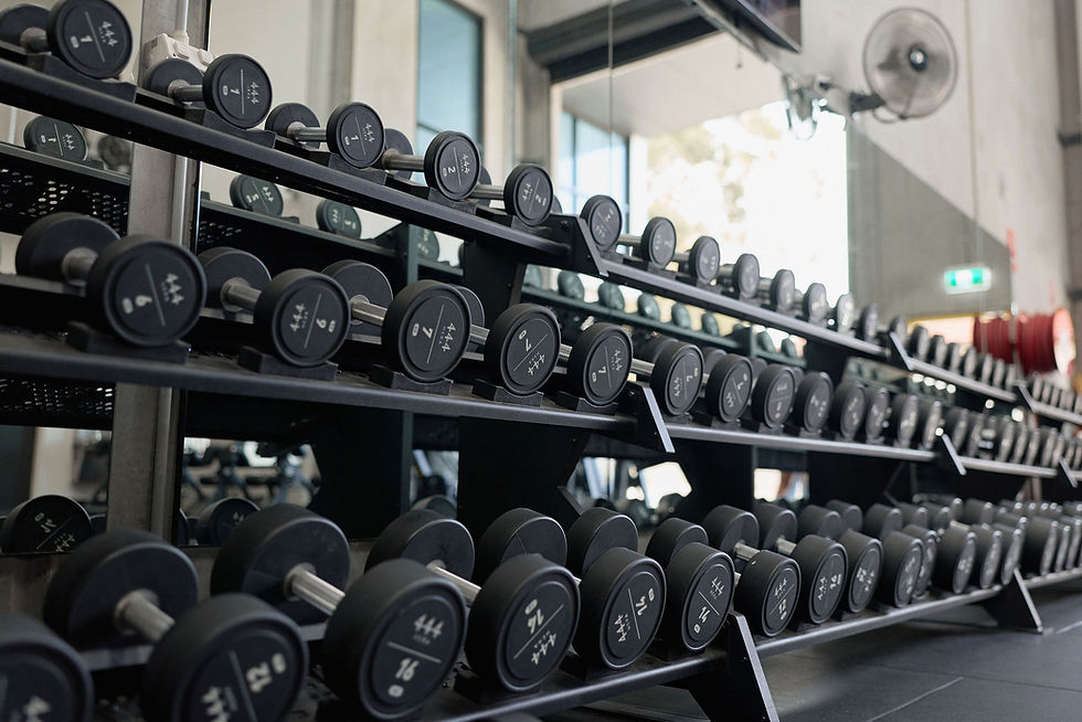 CustomGym444Equipment.jpg