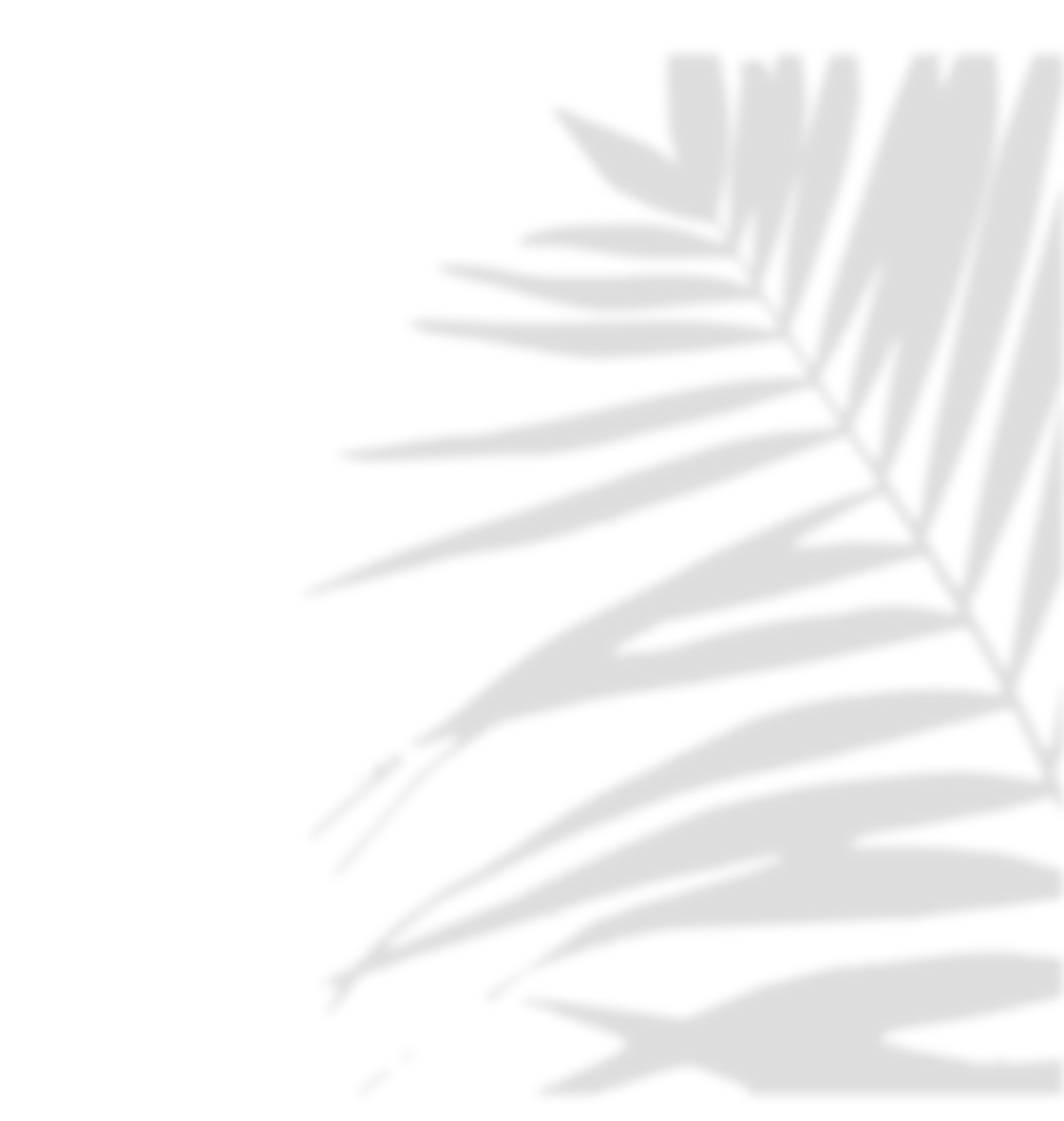 palm-tree-shade-1.png
