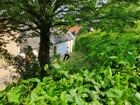 Grüner Daumen am Siegenburger Kirchberg