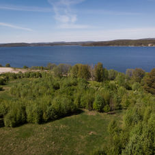 Nyhetsbrev - mars 2022