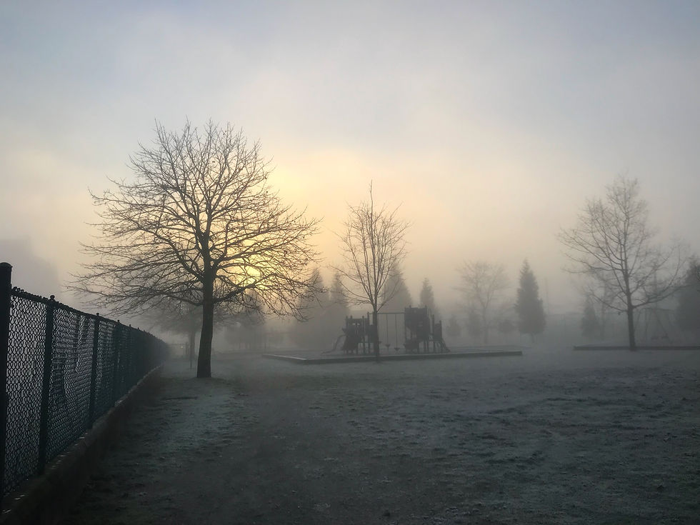 Sir Guy Carleton's School Grounds