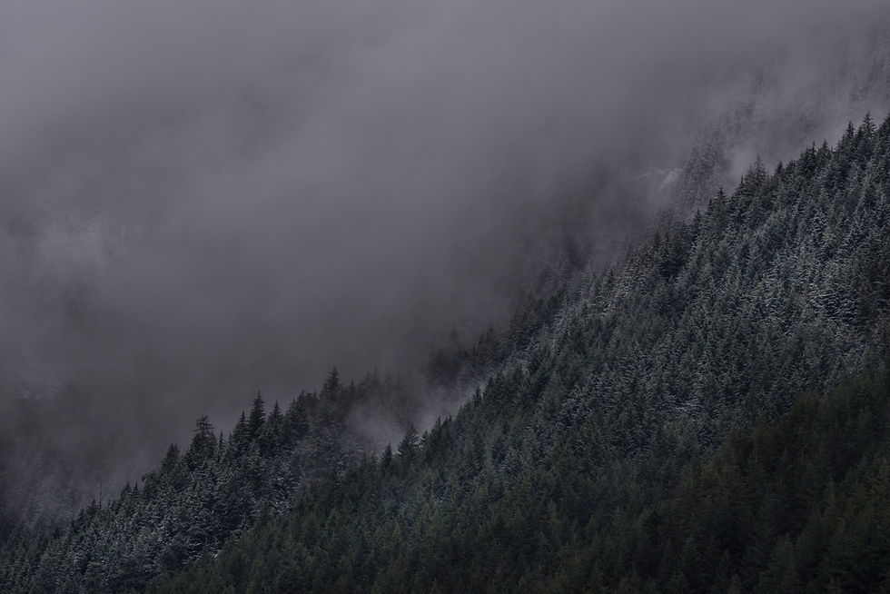 Buntzen Lake Park