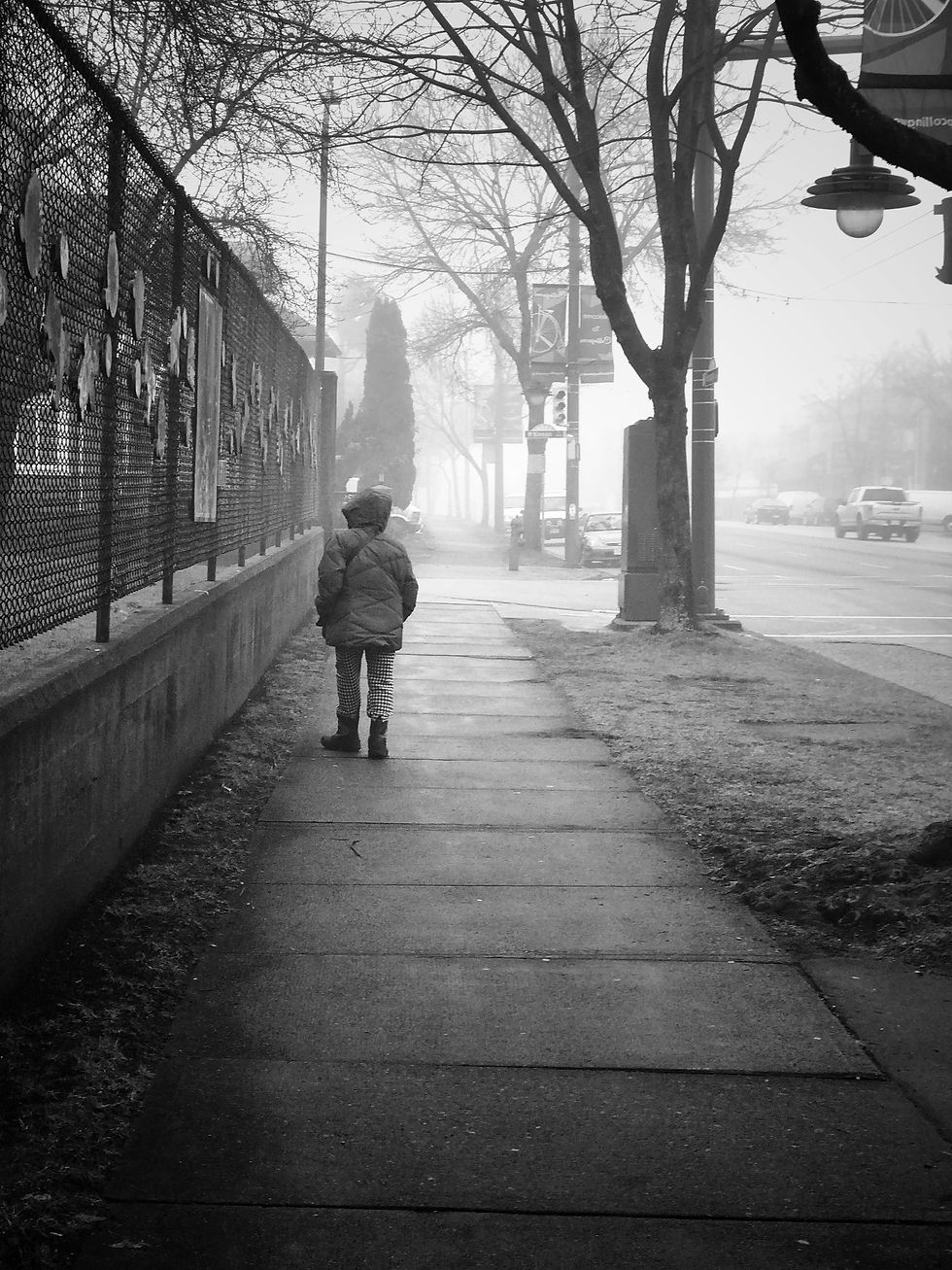 Fog
