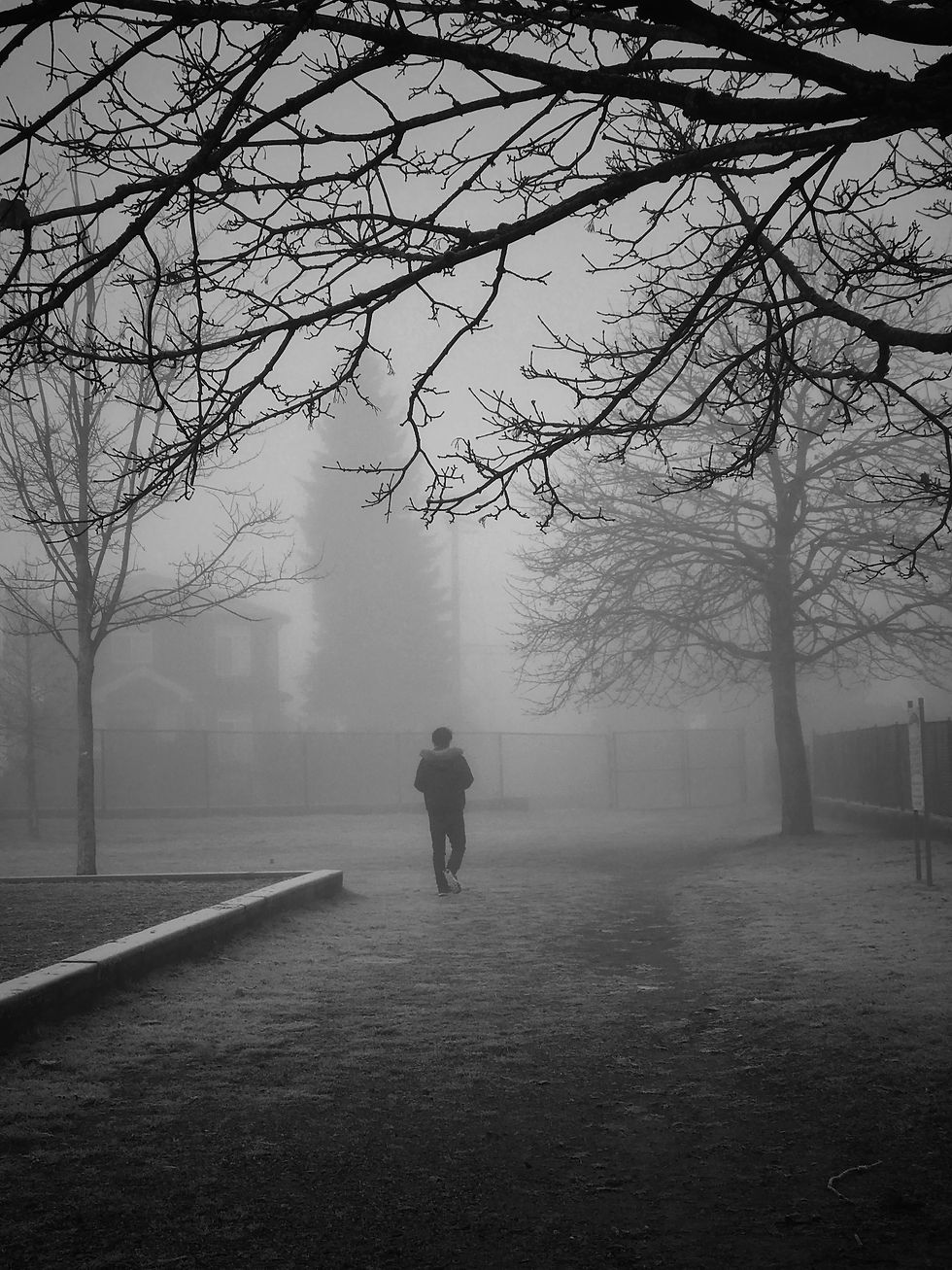 Fog on School Avenue