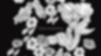 IMG_2180.jpeg