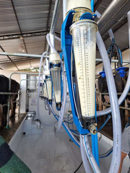 Tambo en Coordillera Paraguay