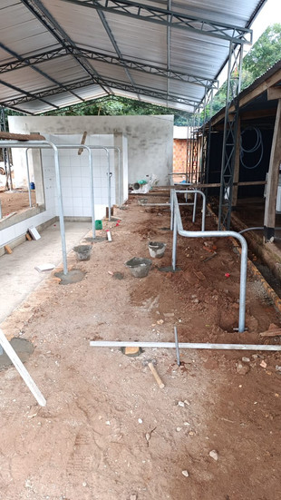 sala de ordeñe con fosa en Paraguay