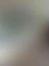 sala de ordeñe con fosa en Paraguay