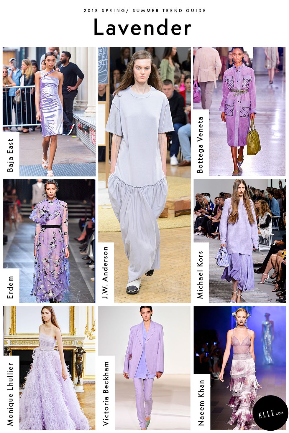 Lavender