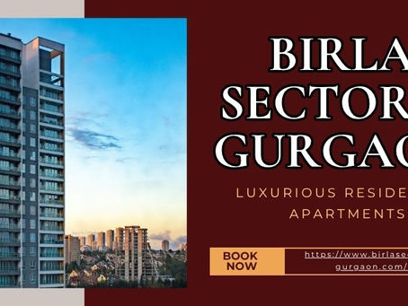 Birla Sector 71 Gurgaon