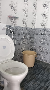 Toilet1.png