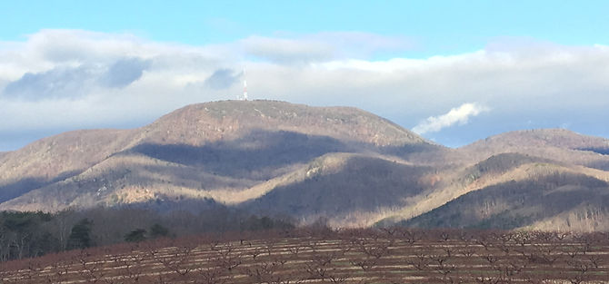 Hogback with peach trees.jpg