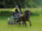 Thumbnail: Client driving Milo at a competition