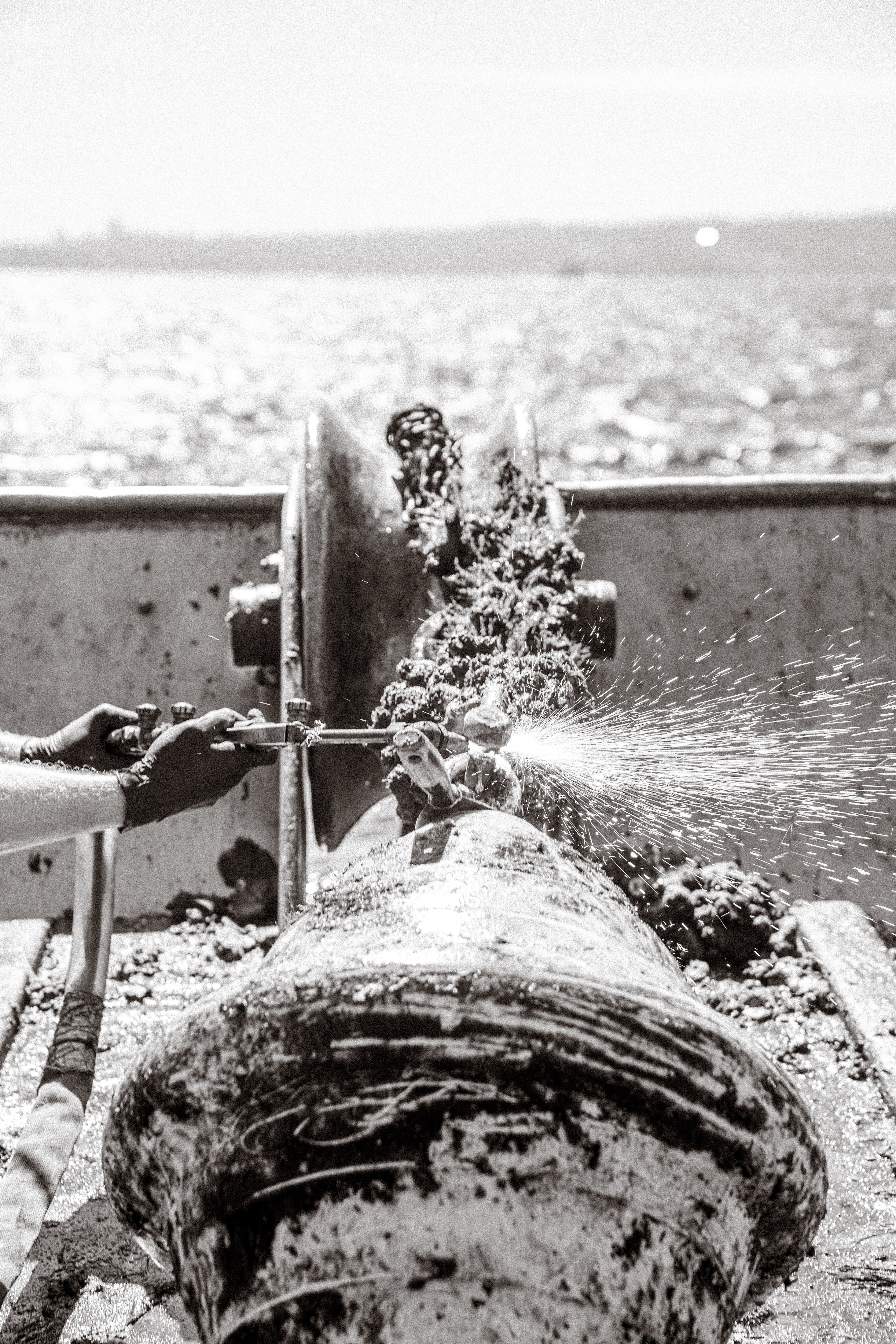 Treharne Moorings gallery image