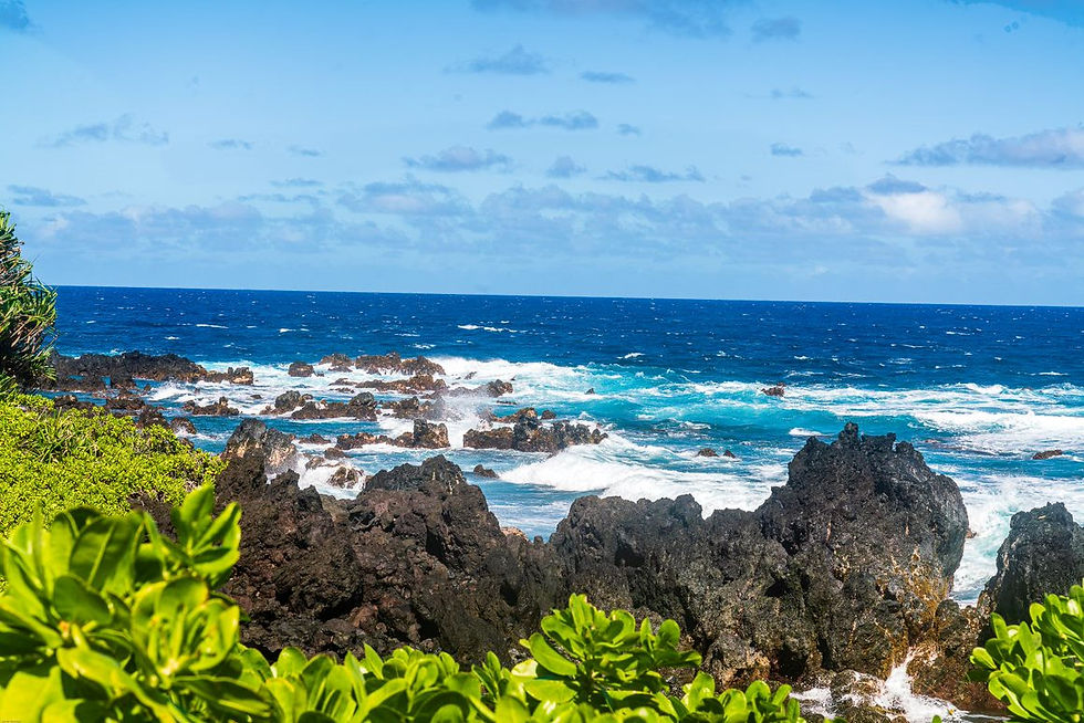 Contact Me Laupuna Point - Shore break (1 of 1).jpg