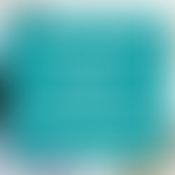 Is Optometry Missing from Your Neighbourhood Health Discussions?