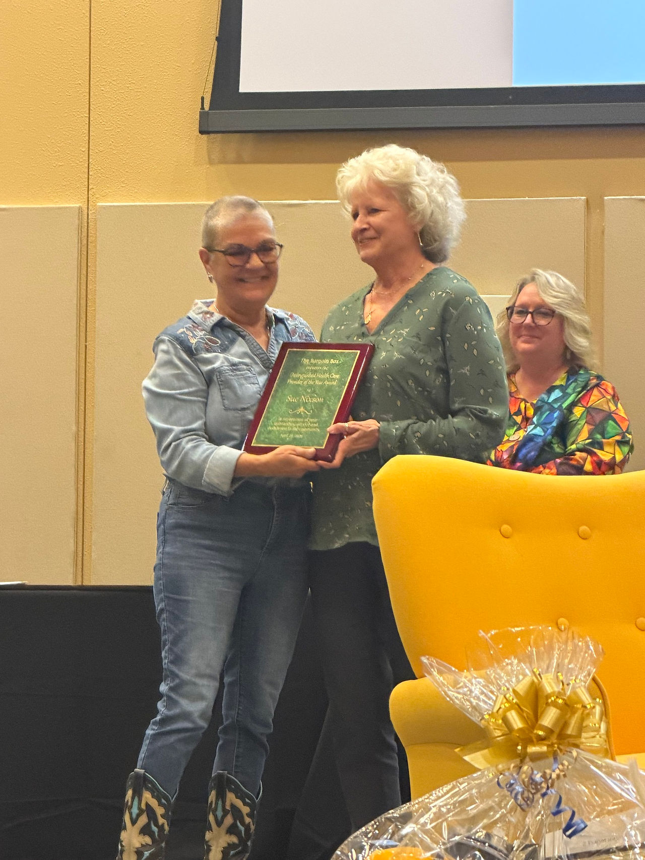 Healthcare Professional of the Year: Sue Nixson