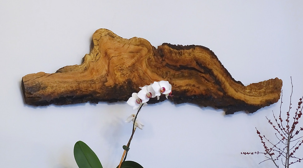 red%20oak%20wall%20orchid_edited.jpg