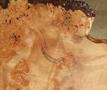 amrosia burl.JPG