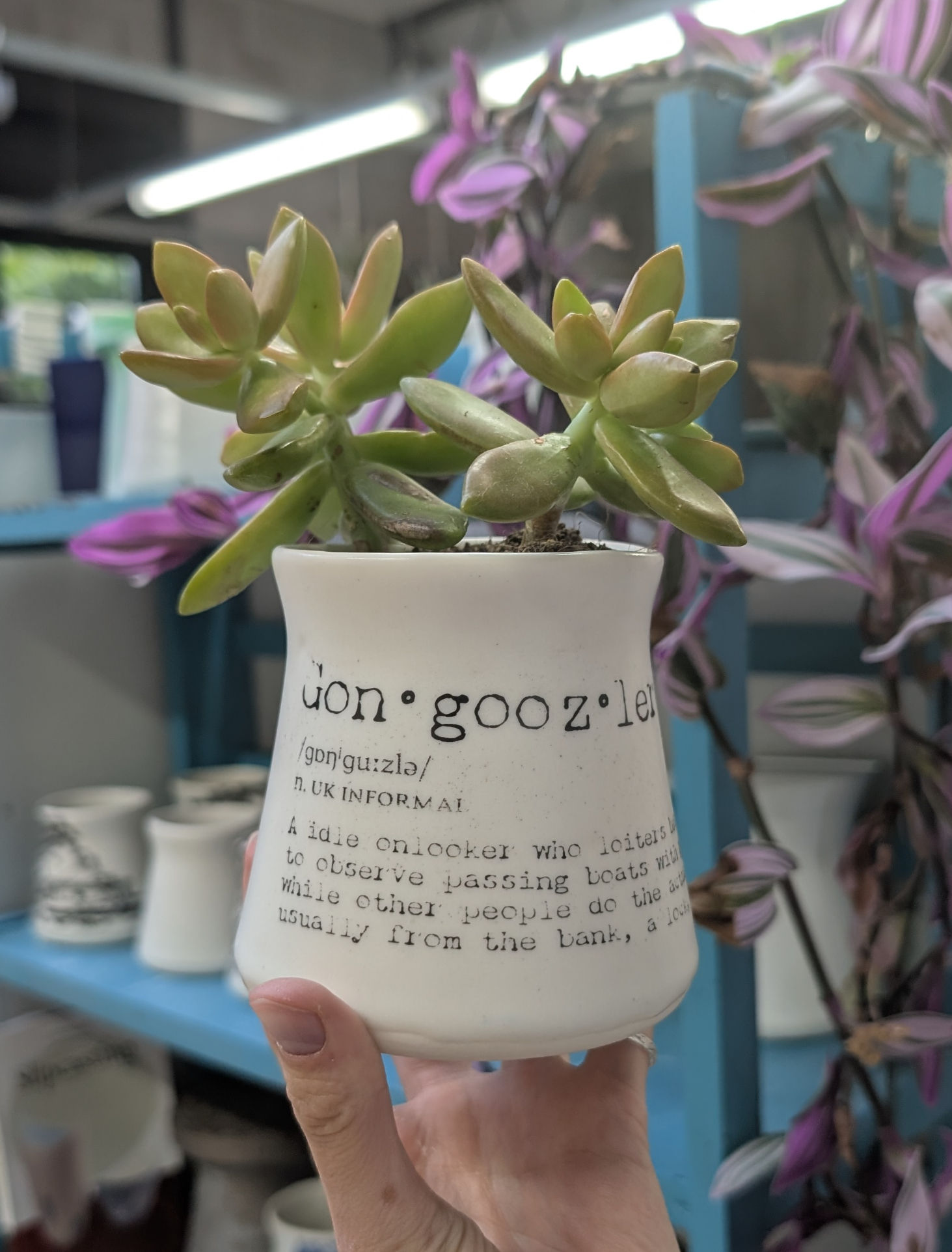 Plant Pot