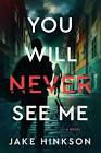 HUNGRY HEARTS AND DARK SOULS: JAKE HINKSON'S YOU WILL NEVER SEE ME