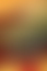 REALLY MEAN GIRLS: ALANA MEIKE'S REVIEW OF MAY COBB'S ALL THE LITTLE HOUSES