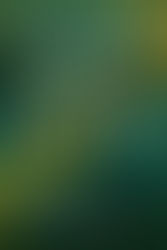 A SMALL BOOK ABOUT THE BIG OLD WORLD: TIM BRYANT'S WORLD OF RIVERS